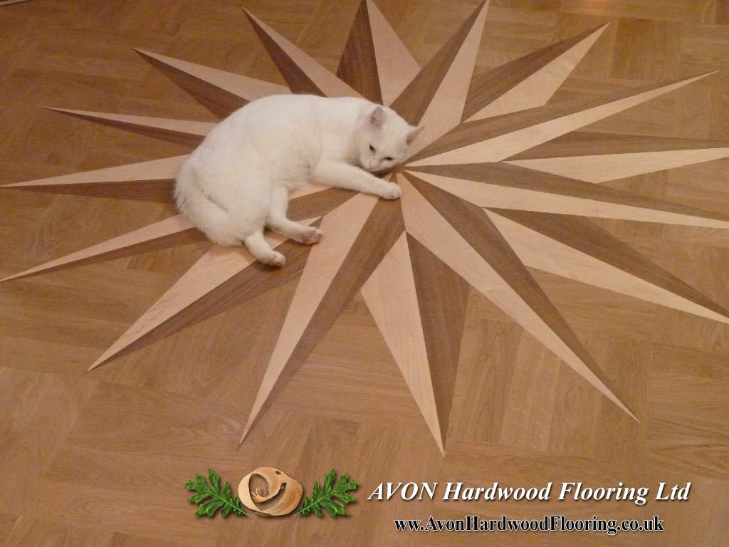 How Protect Wooden Floor From Pet Scratches Parquet Floor